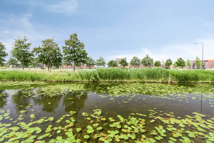 Photo 18 of Anna van Bossetuin 14