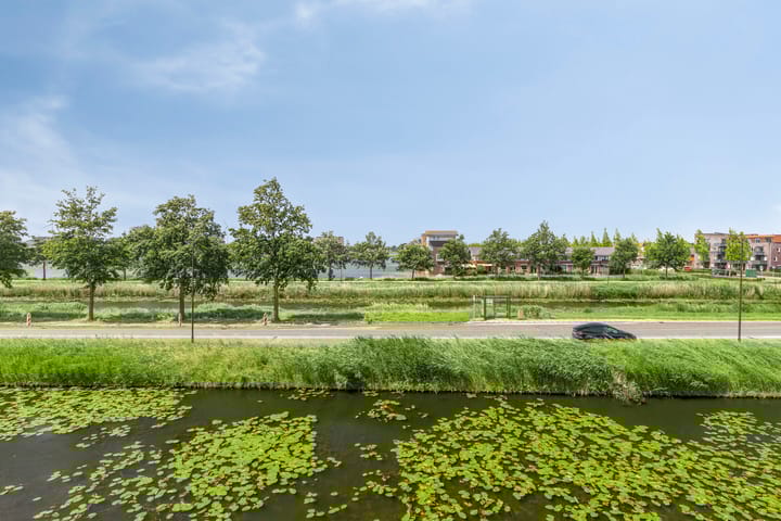 Photo 42 of Anna van Bossetuin 14