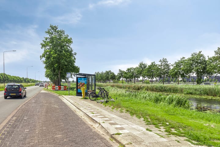 Photo 45 of Anna van Bossetuin 14