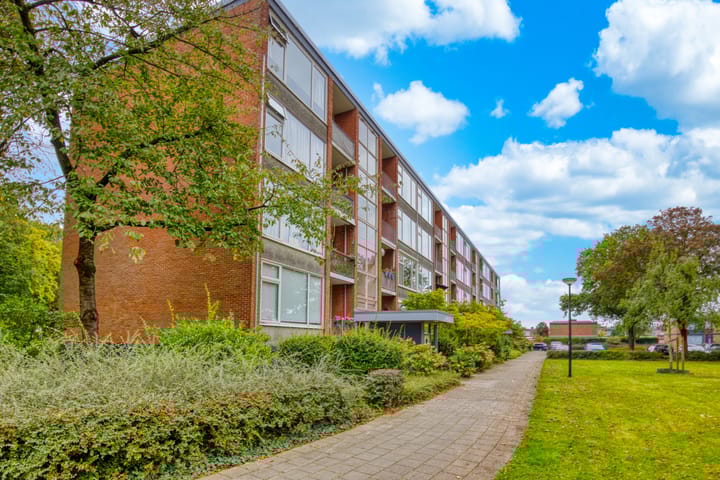 Foto 14 van Hunze 14