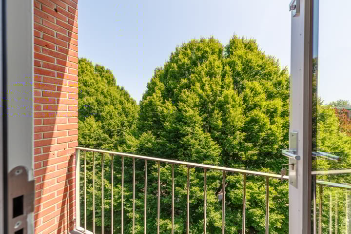 Foto 12 van Hunze 14