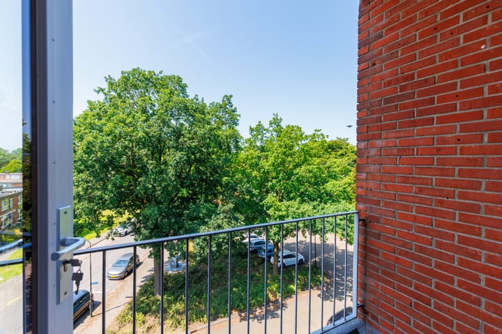 Foto 13 van Hunze 14