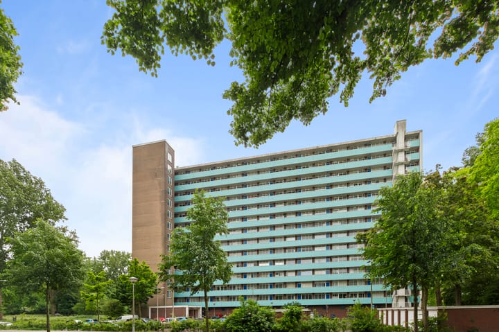 Foto 1 van Langswater 861