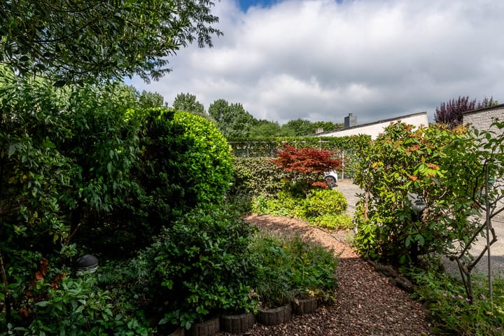 Foto 7 van Buizerdstraat 14