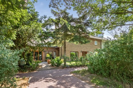 undefined main image