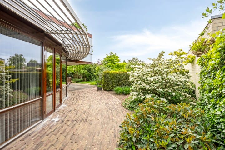 Foto 38 van Kanarie 44