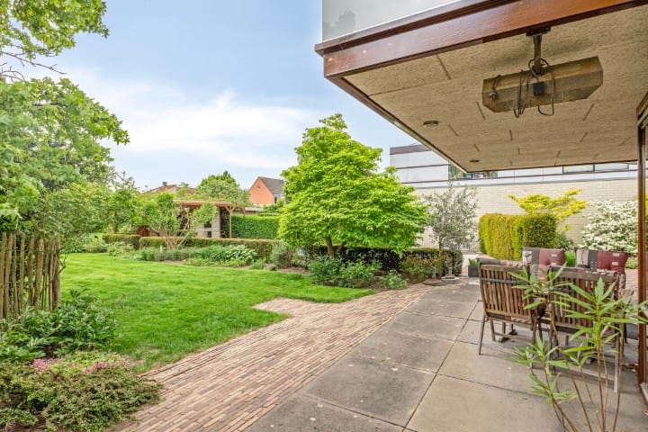 Foto 43 van Kanarie 44