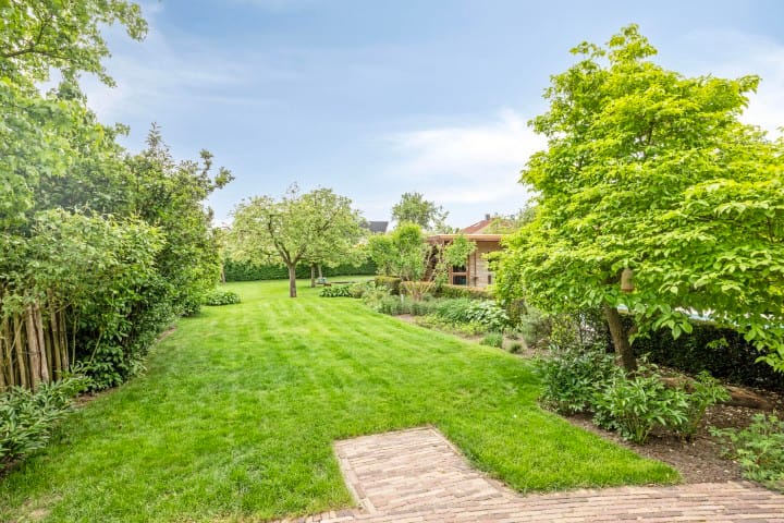 Foto 44 van Kanarie 44