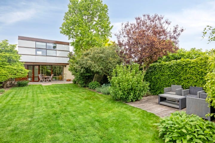 Foto 46 van Kanarie 44