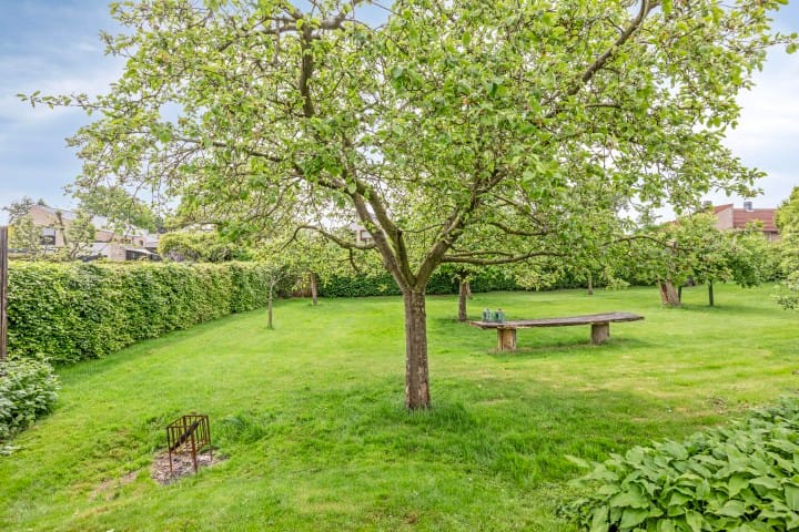 Foto 47 van Kanarie 44