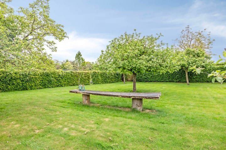 Foto 48 van Kanarie 44