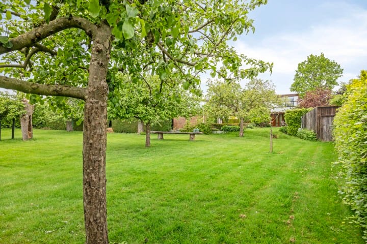 Foto 49 van Kanarie 44