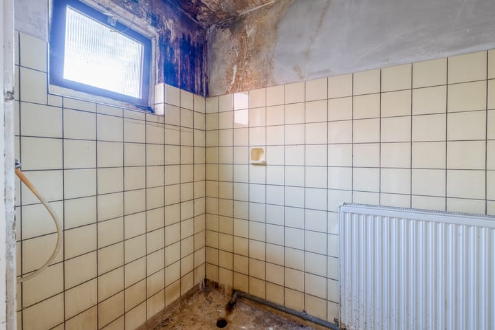 Foto 18 van Bornerbroeksestraat 129