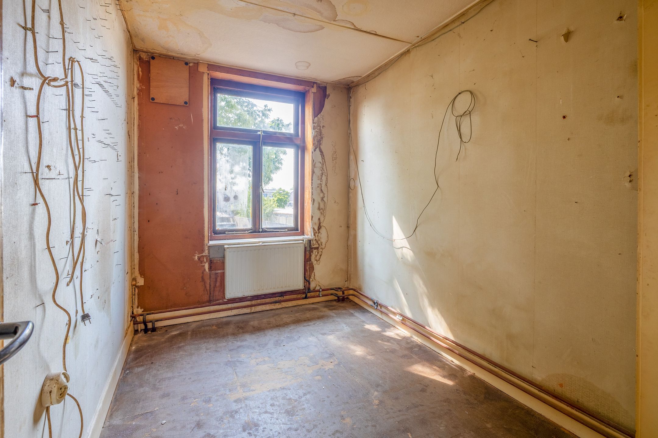 Foto 27 van Bornerbroeksestraat 129