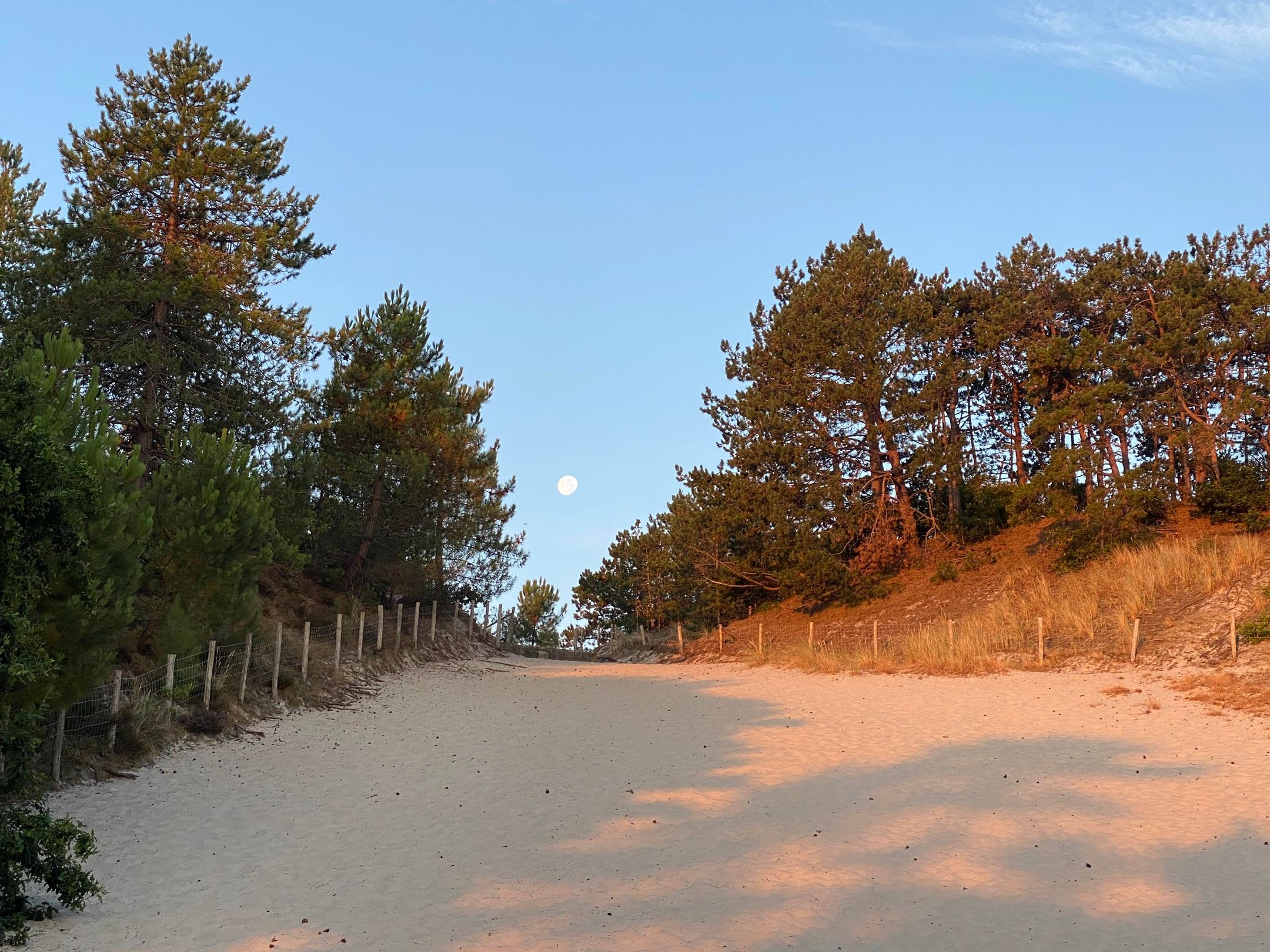 Foto 39 van Wagenmakersweg 21