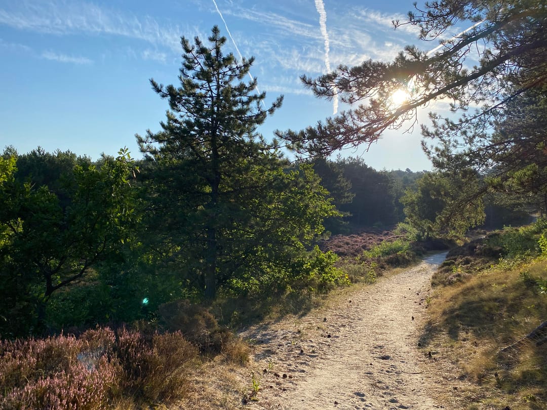 Foto 41 van Wagenmakersweg 21