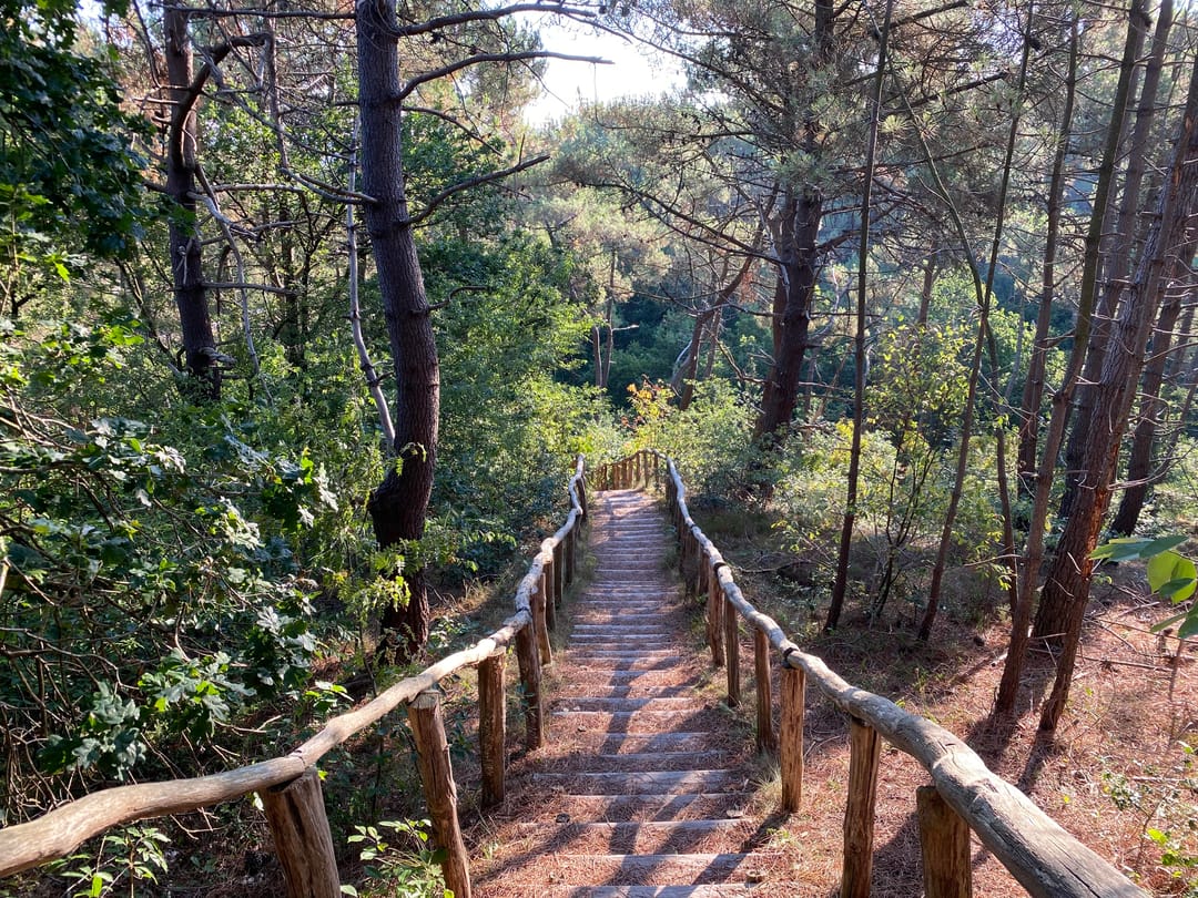 Foto 43 van Wagenmakersweg 21