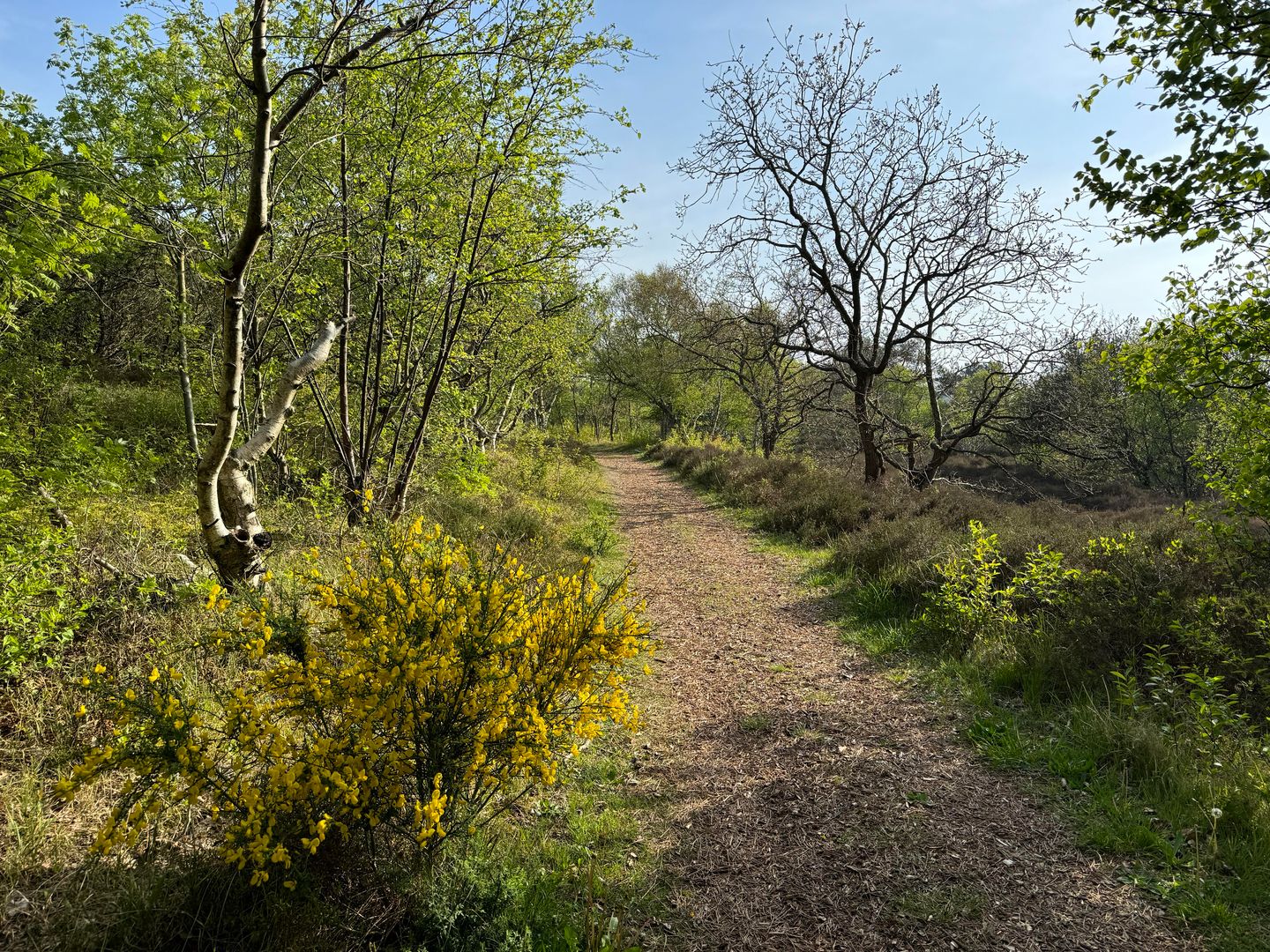 Foto 44 van Wagenmakersweg 21