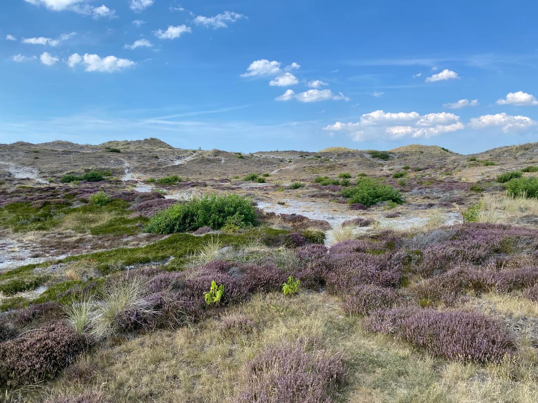 Foto 46 van Wagenmakersweg 21