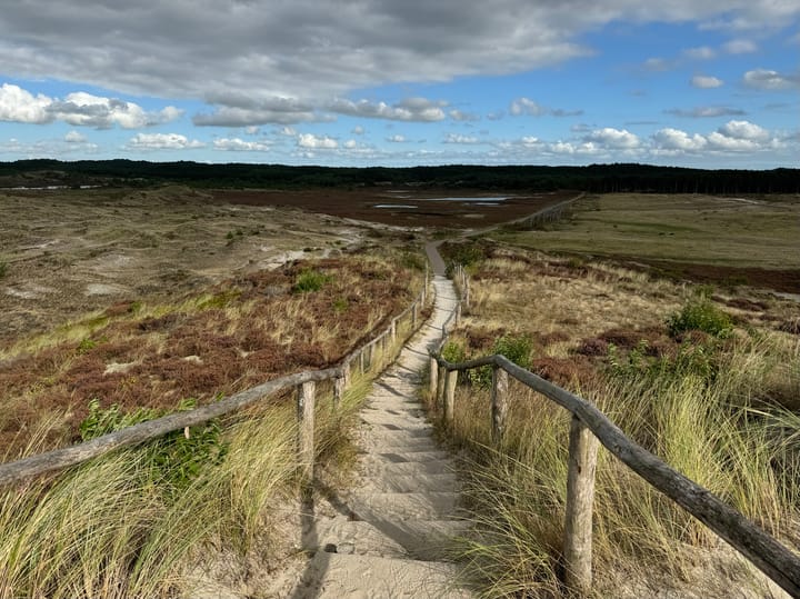 Photo 49 of Wagenmakersweg 21