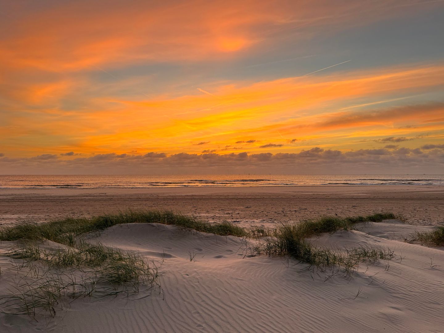 Foto 50 van Wagenmakersweg 21