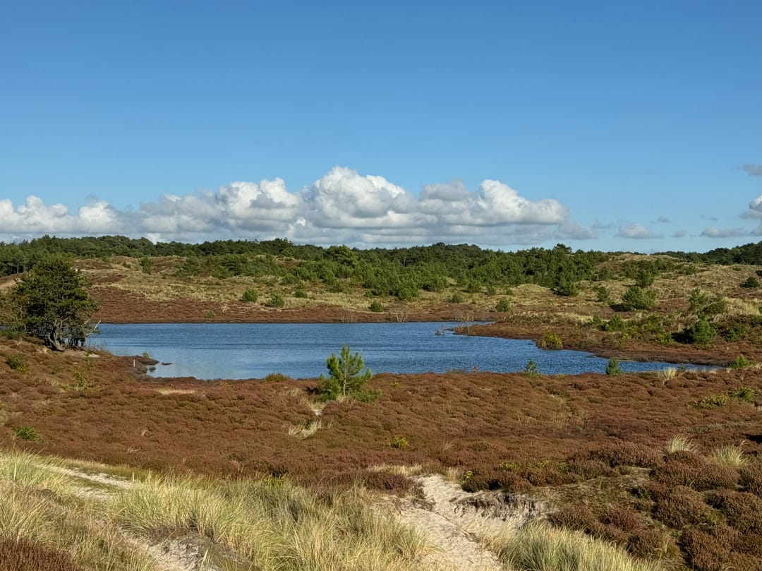 Foto 52 van Wagenmakersweg 21