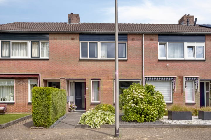 Foto 20 van Helmkruid 31