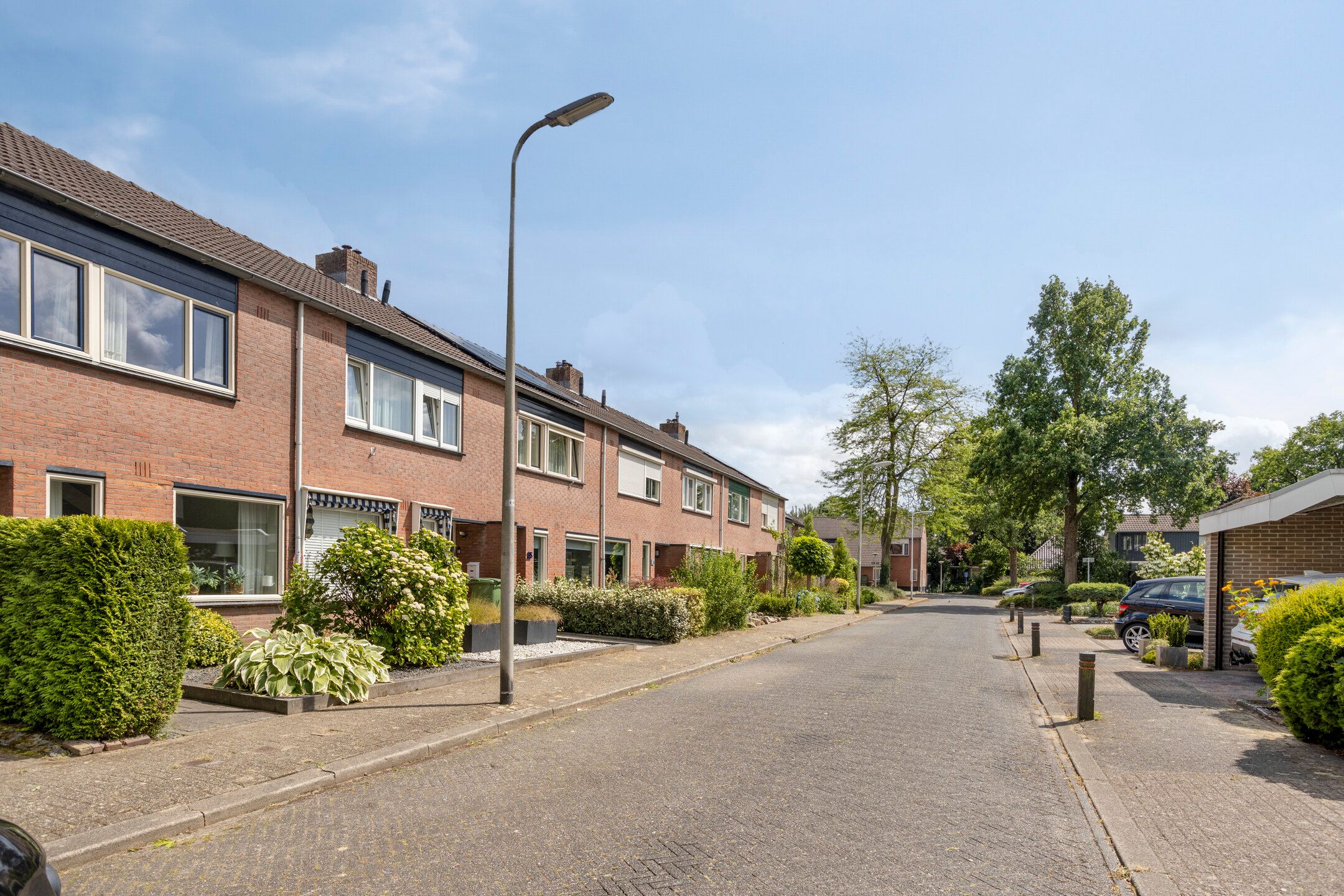 Foto 21 van Helmkruid 31