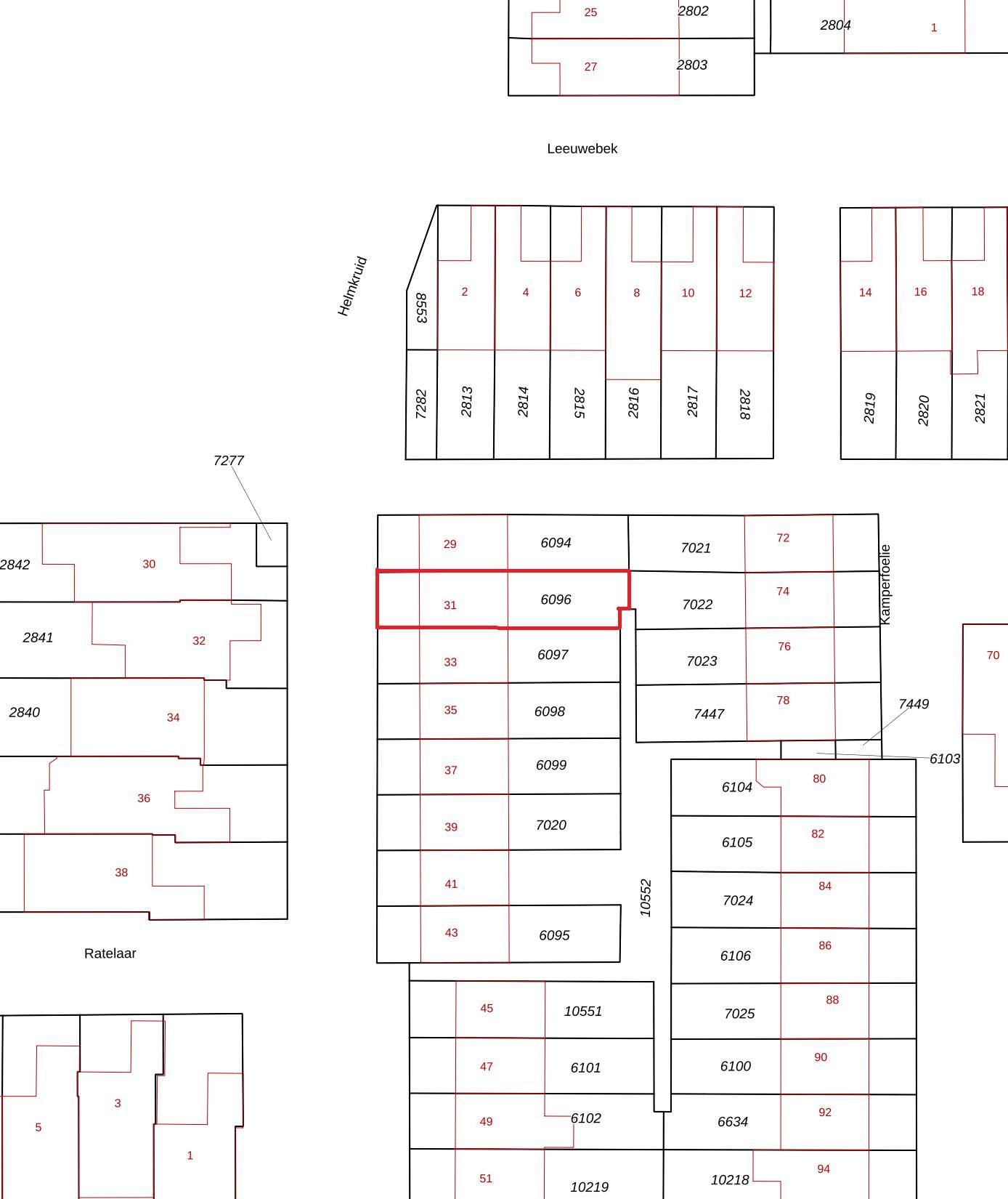 Foto 27 van Helmkruid 31