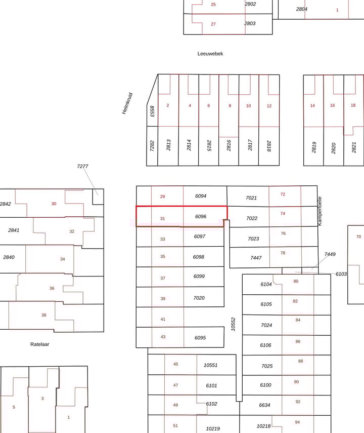 Foto 27 van Helmkruid 31