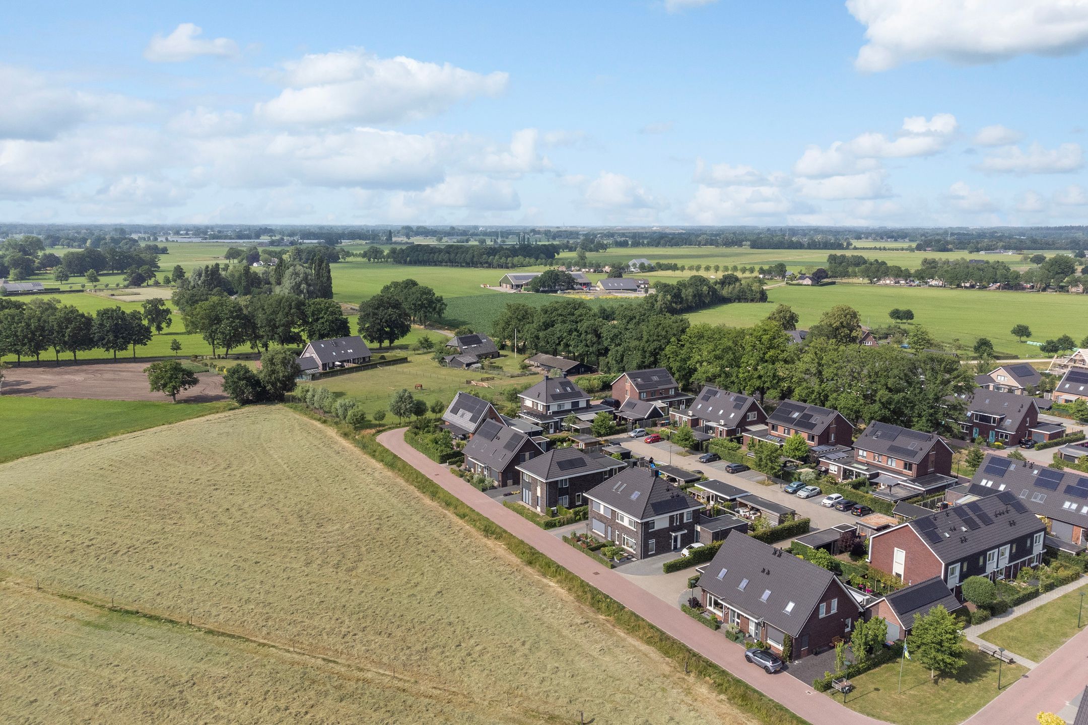 Photo 3 of Korenbloem 12