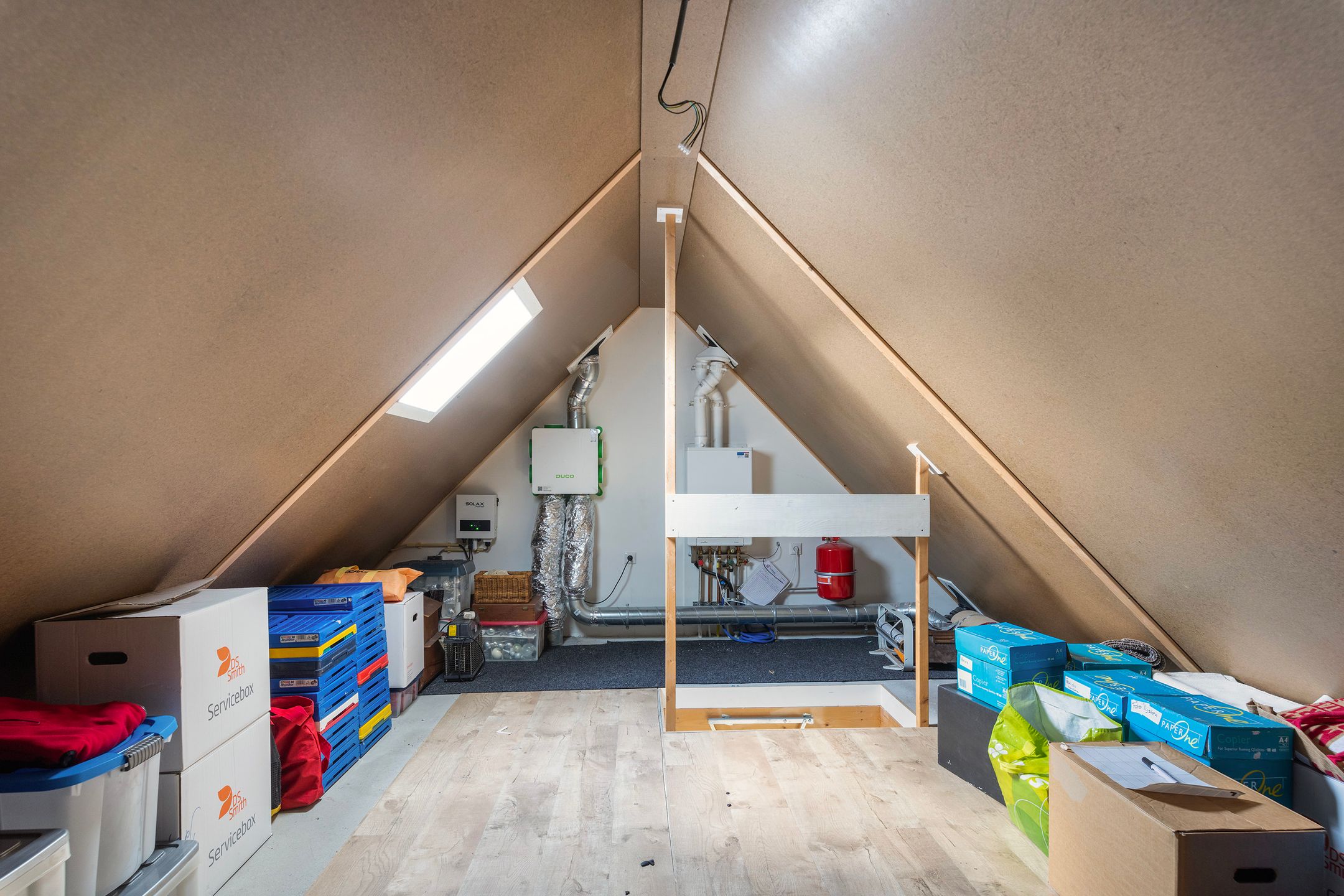 Photo 30 of Korenbloem 12