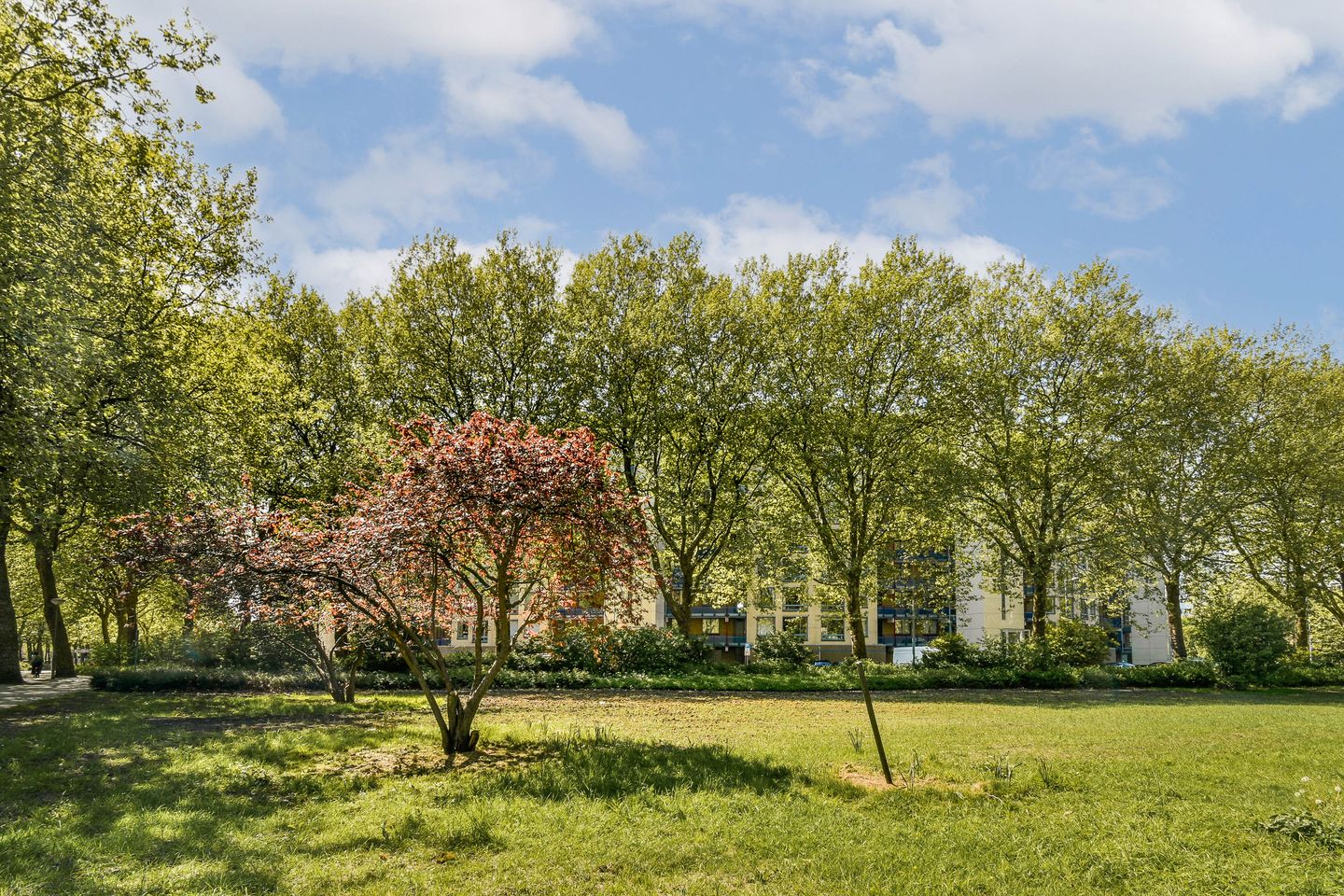 Foto 1 van Beysterveld 123