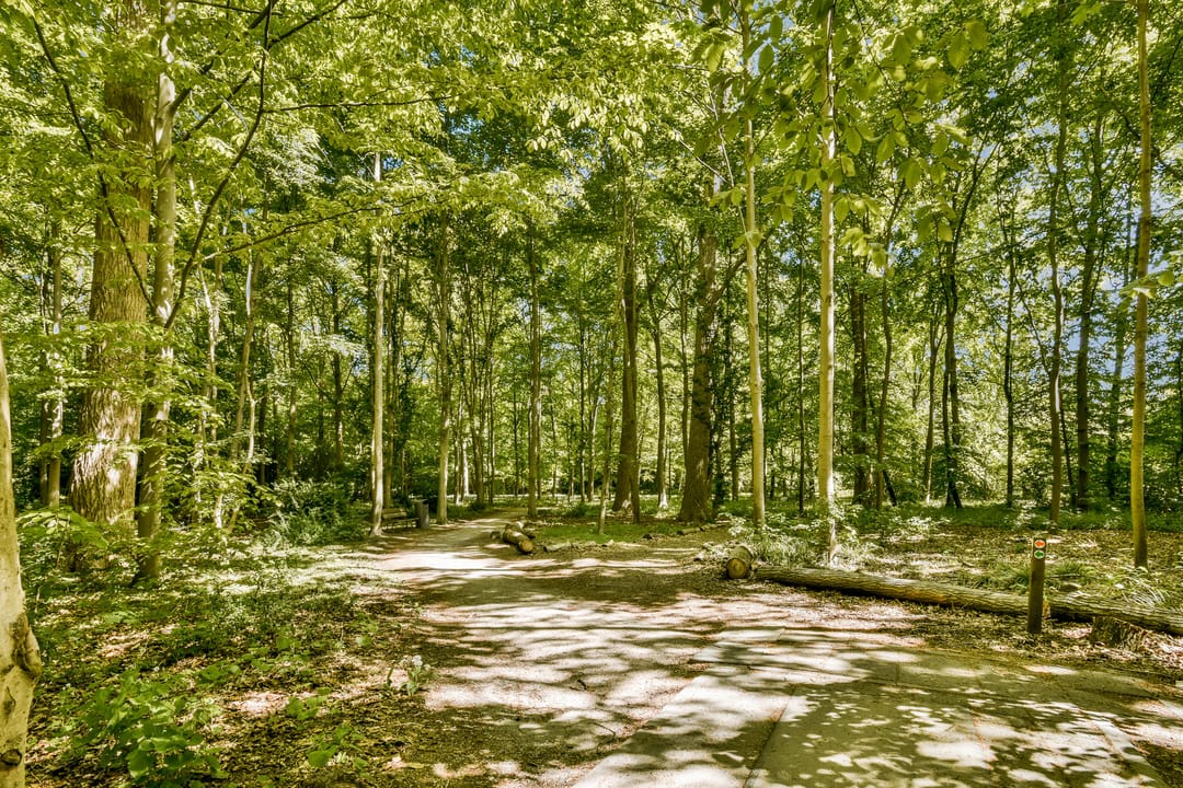 Foto 22 van Beysterveld 123