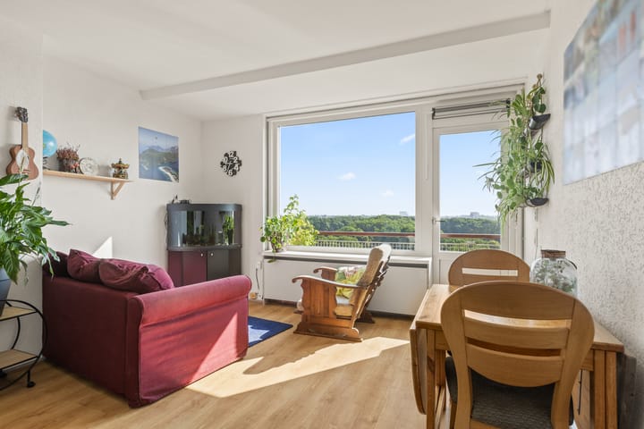 Foto 2 van Livingstonelaan 926