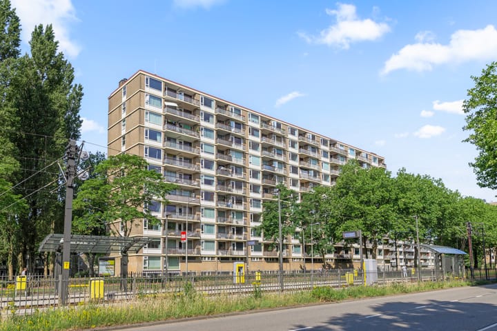 Foto 3 van Livingstonelaan 926