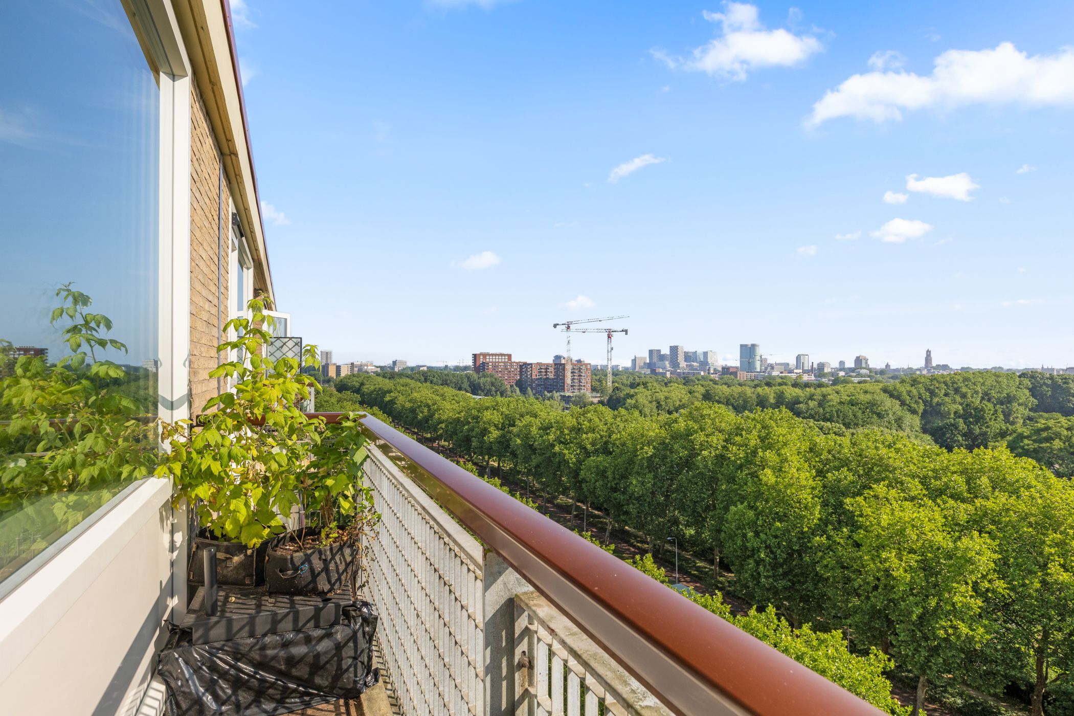 Foto 12 van Livingstonelaan 926