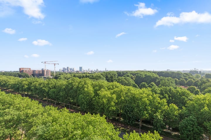 Foto 14 van Livingstonelaan 926