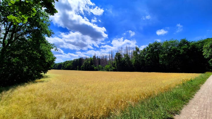 Foto 36 van Piersonlaan 9