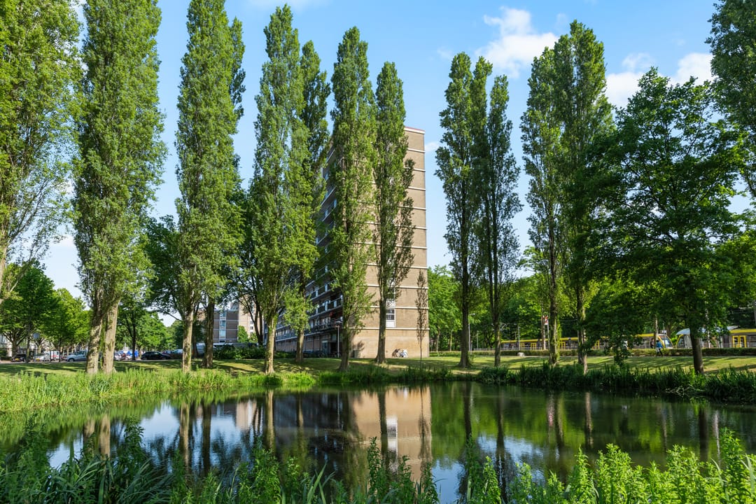 Foto 26 van Livingstonelaan 926