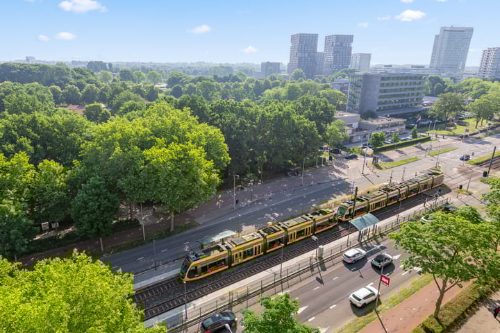 Foto 27 van Livingstonelaan 926