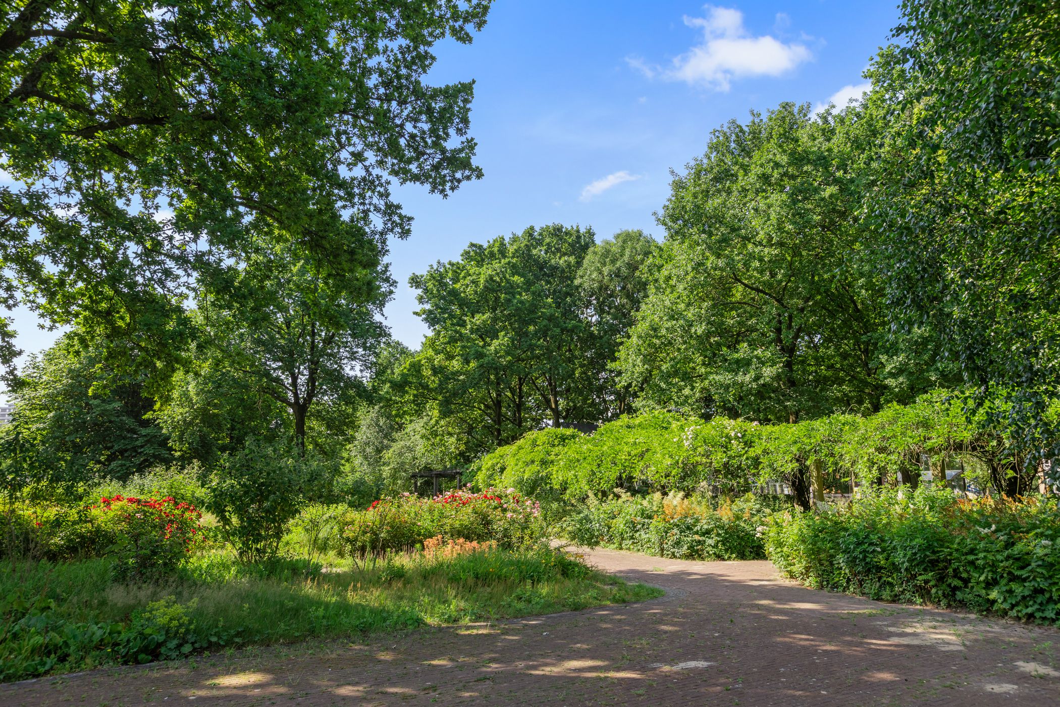 Foto 30 van Livingstonelaan 926