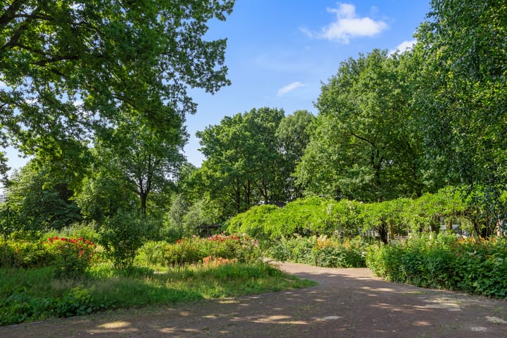 Foto 30 van Livingstonelaan 926