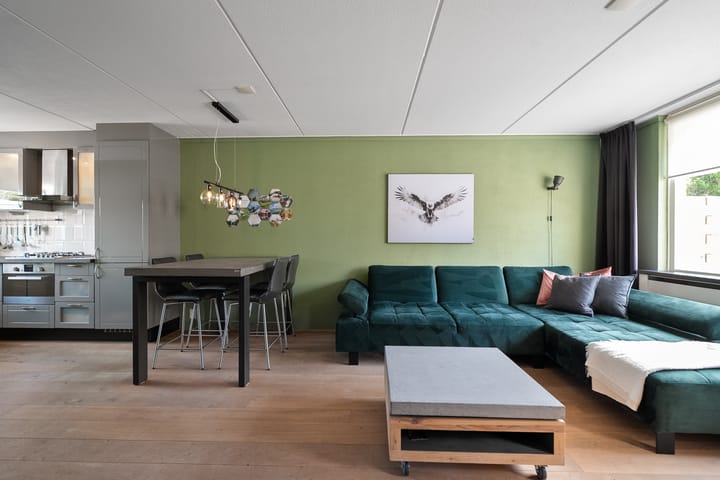 Foto 9 van Wierbalg 1721