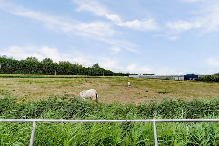 Foto 24 van Pruimendijk 212-D