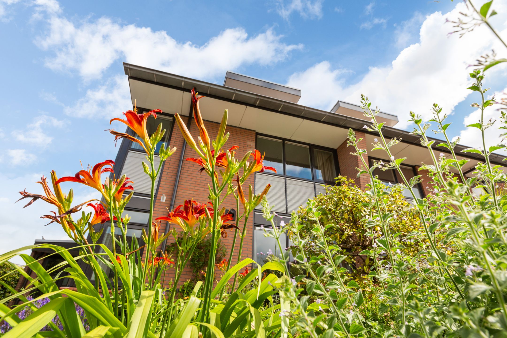 Foto 3 van Virgilius 34