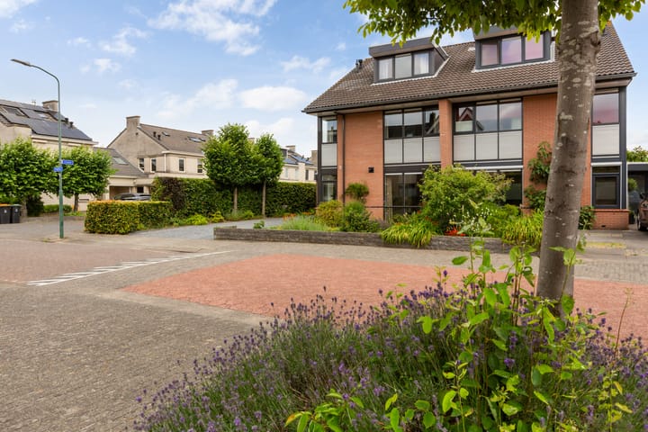 Foto 49 van Virgilius 34