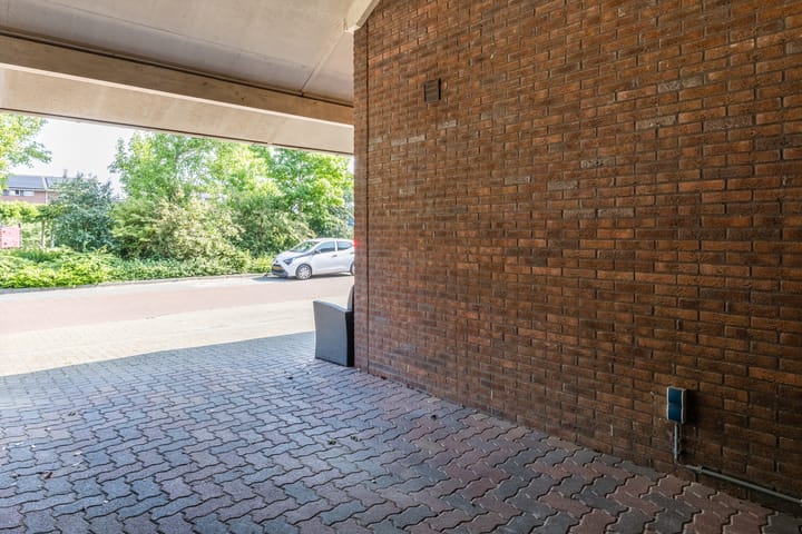 Foto 47 van Pauwoog 48