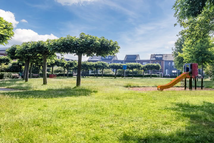 Foto 55 van Pauwoog 48