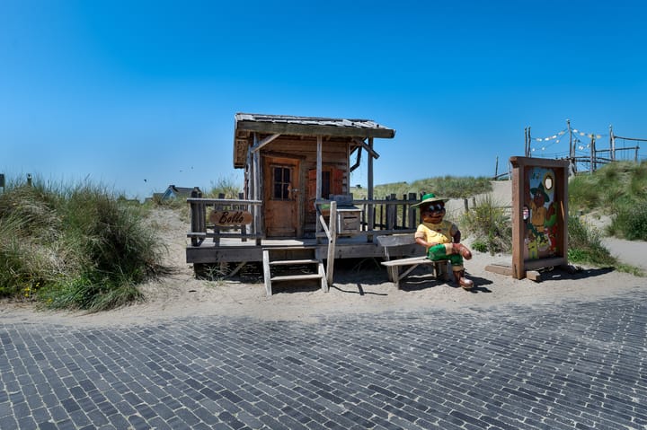 Foto 25 van de Duinen 230